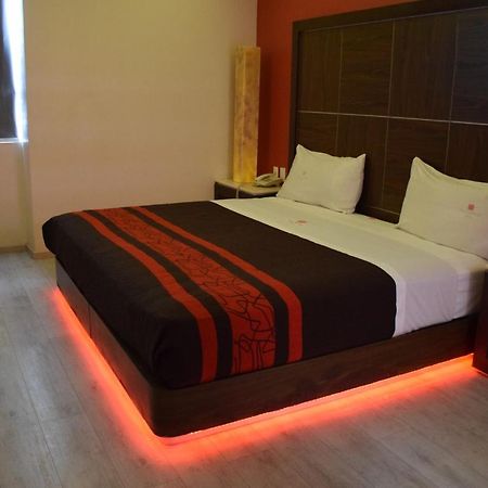 Plutarco Suites Мехіко Екстер'єр фото